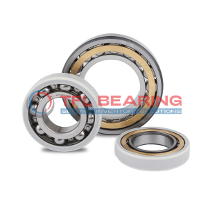 3 tfl insulated bearing for motor, including deep groove ball bearing and cylindrical roller bearing